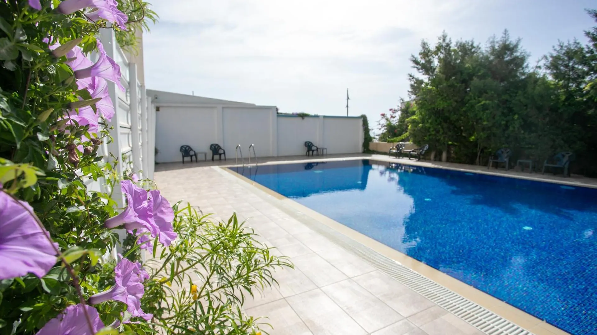 Palmove Luxurious Beachfront Apt Larnaca